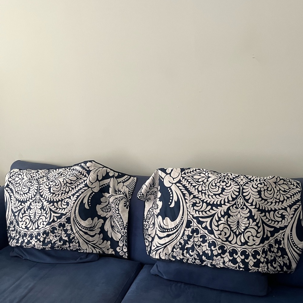 Madison Park RN # 91519 set of (2) pillow sham